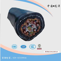 西安電線電纜廠 計算機電纜與控制電纜價格解析及高清大圖鑒賞